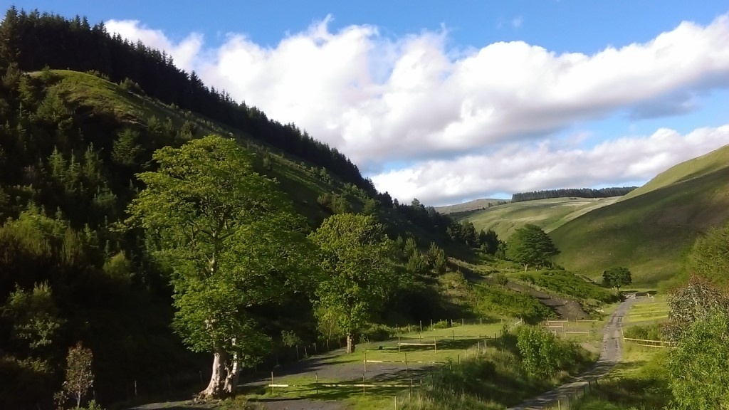 afan forest camping