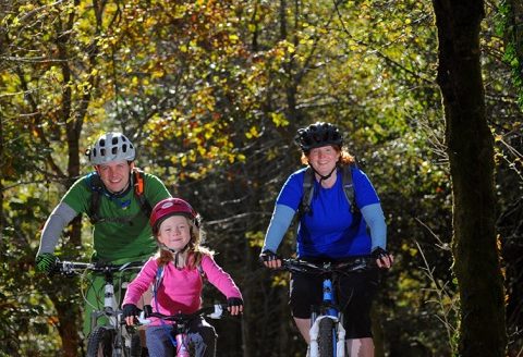 Mountain bike trail south wales