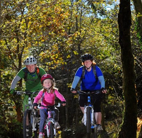 Mountain bike trail south wales