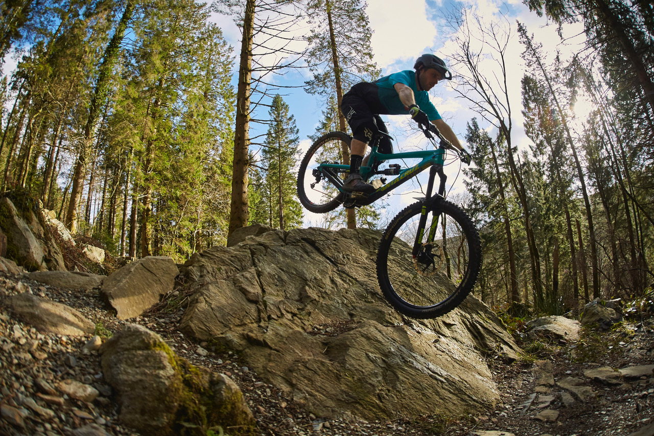 coed y brenin mountain biking