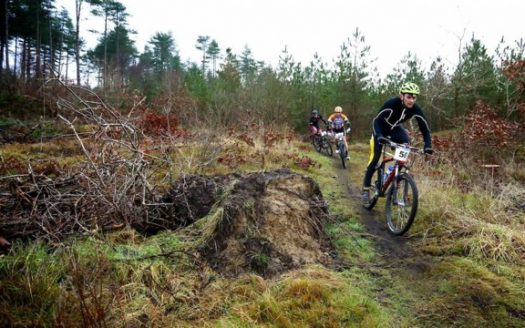 Mountain Biking in Wales