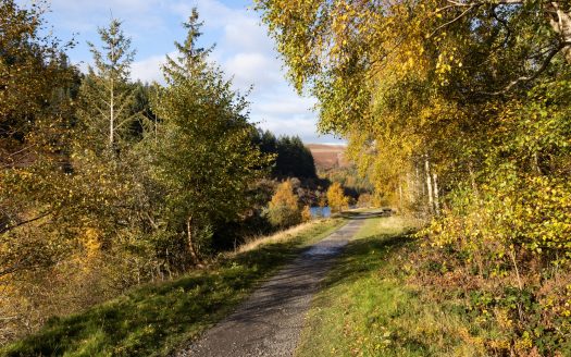 Elan Valley Trail